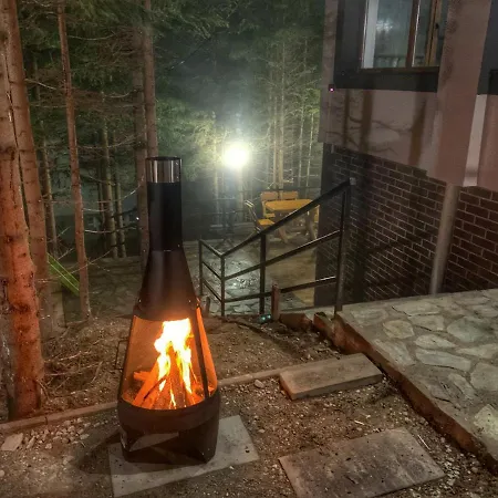 Altitude Guest house *